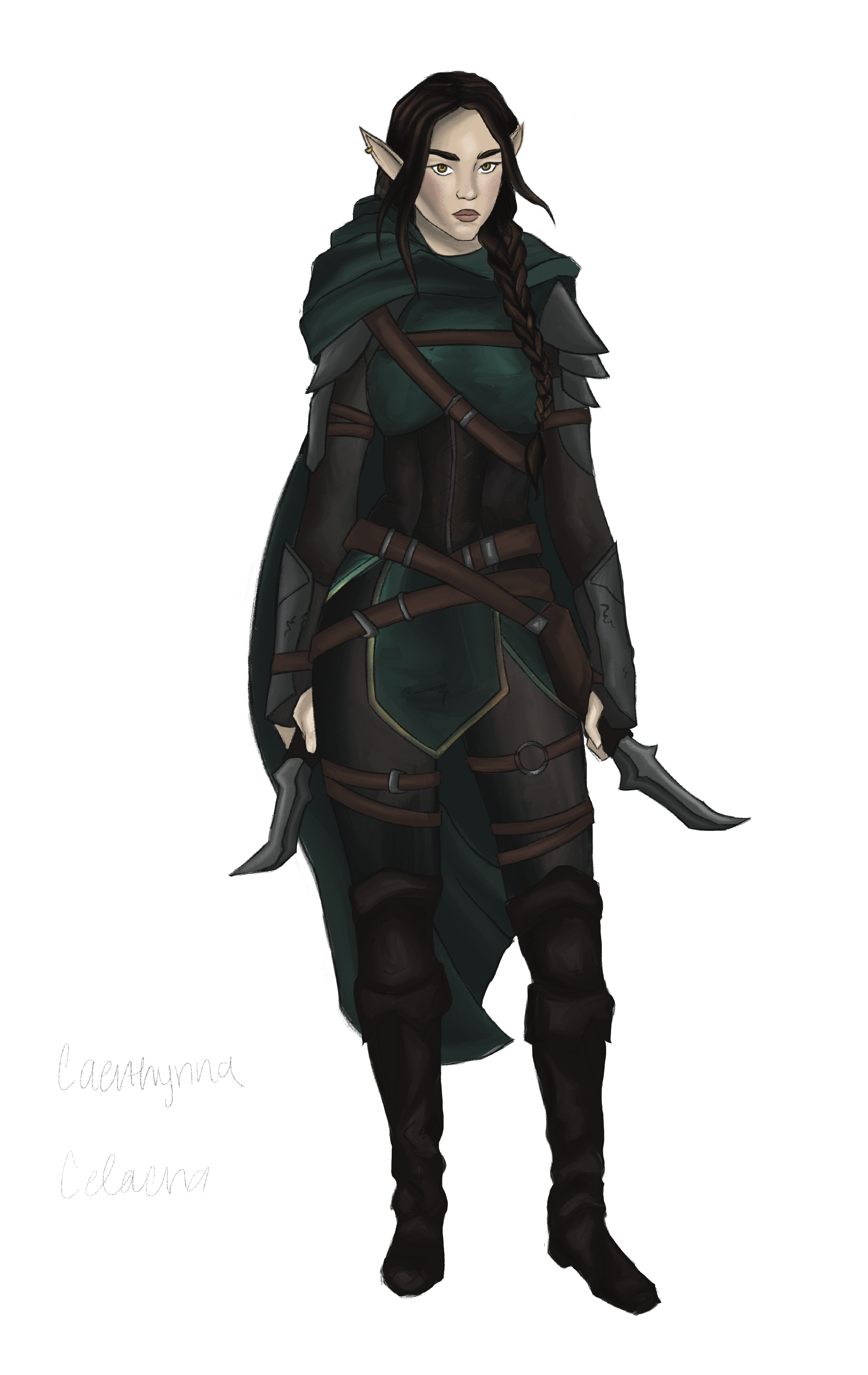 Playground Experiment